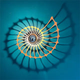 NautilusGlow | Dekorativ Vegglampe i Nautilus-Skall Design